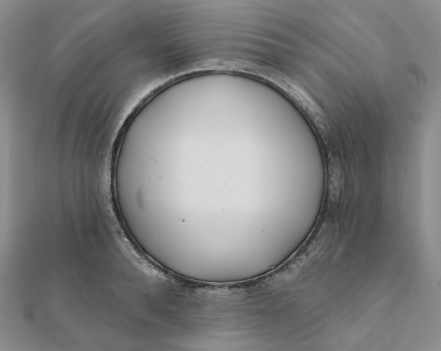 X0000112080896200908251102