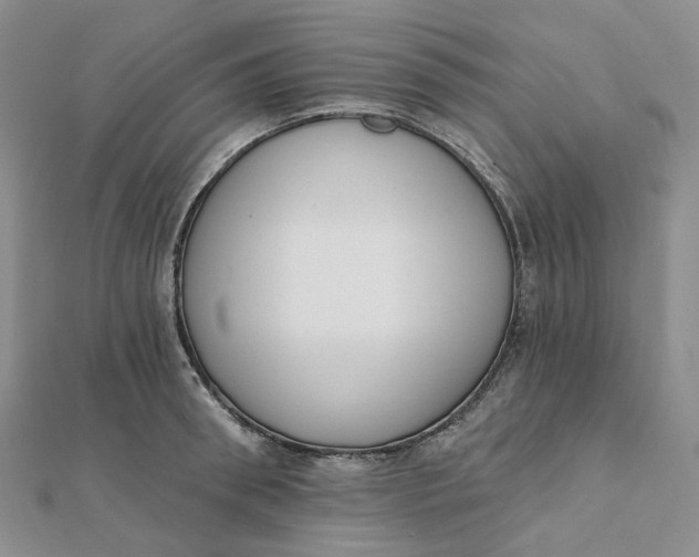 X0000112080898200908251102