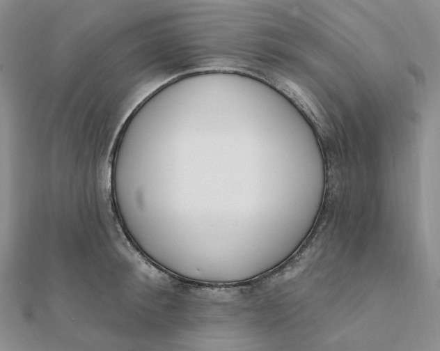 X0000112080900200908251102