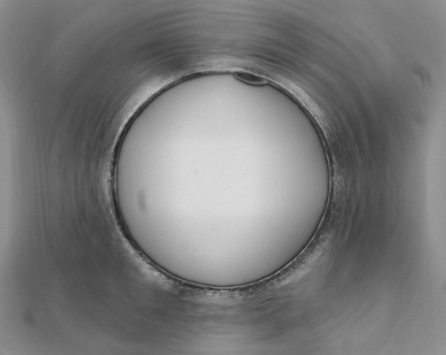 X0000112080901200908251102