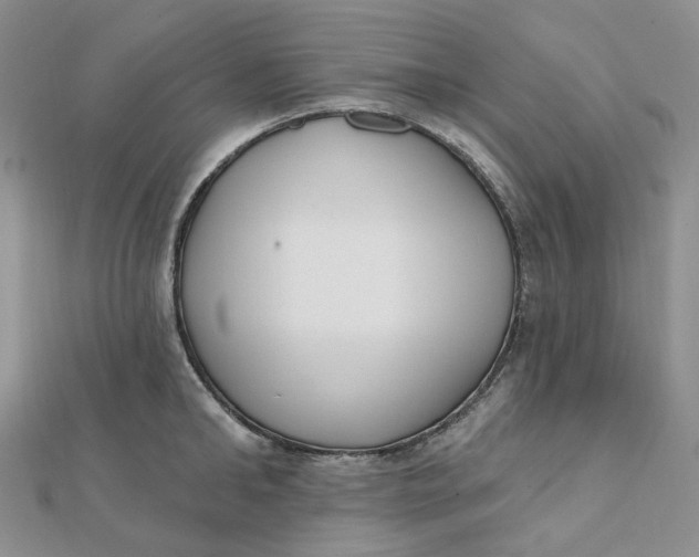 X0000112080902200908251102