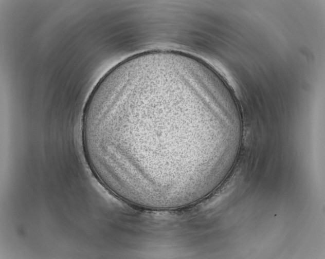 X0000112080903200908251102