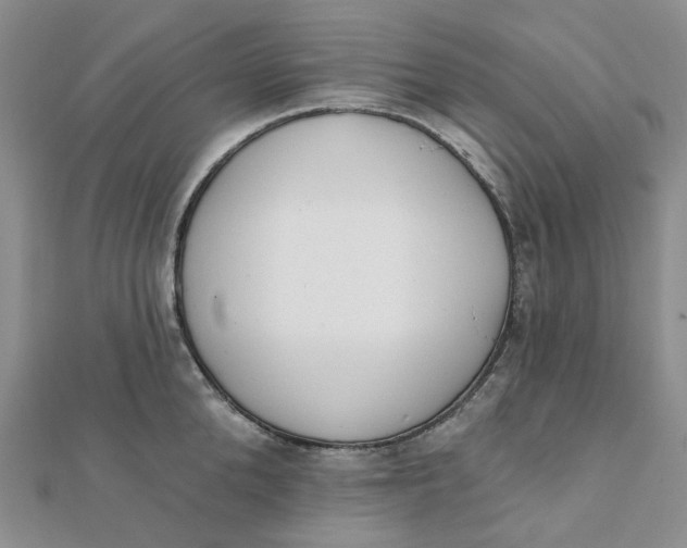 X0000112080904200908251102