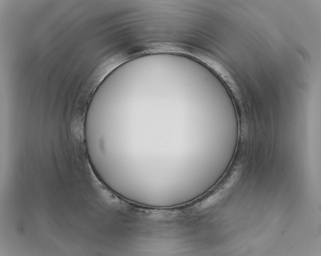 X0000112080905200908251102