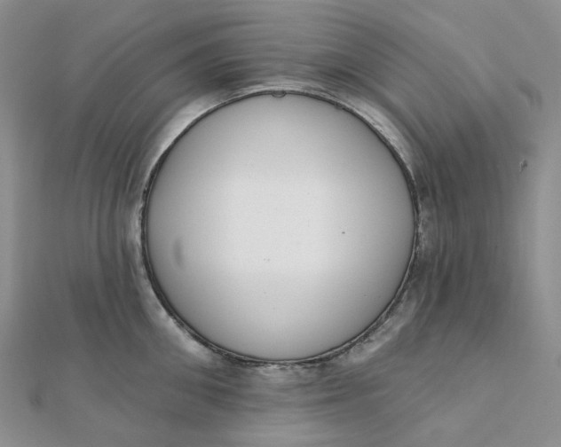 X0000112080906200908251102