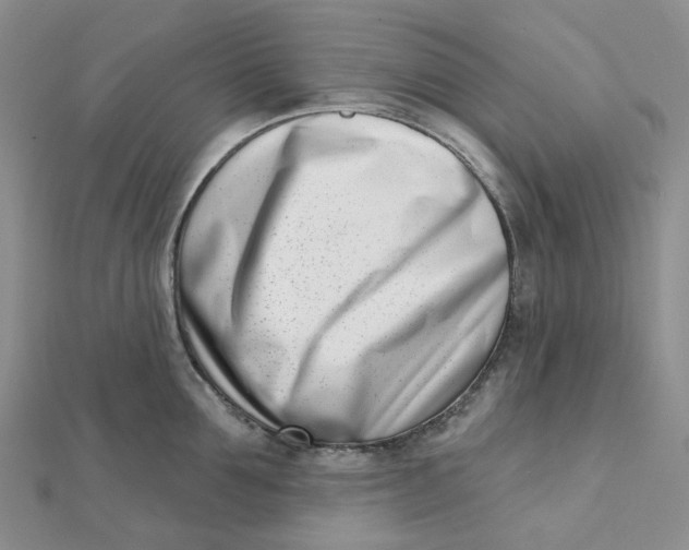 X0000112080907200908251102