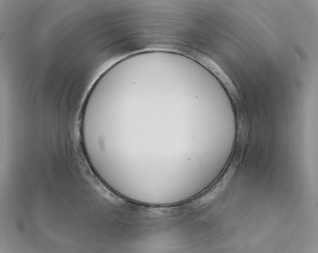 X0000112080908200908251102