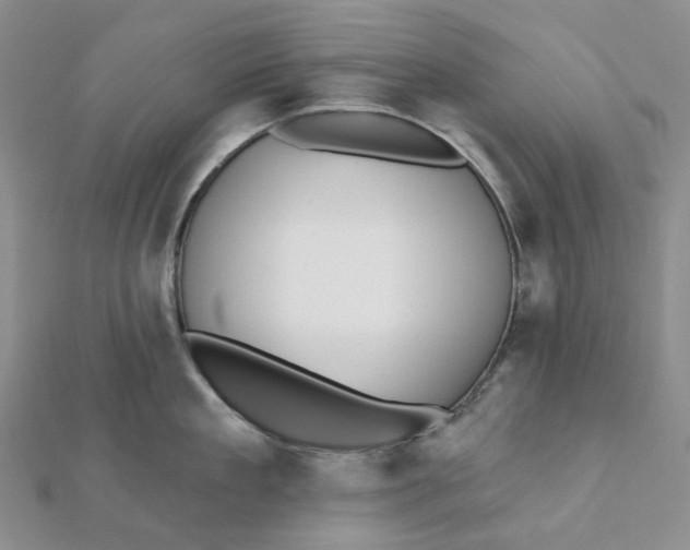 X0000112080909200908251102