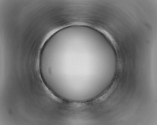 X0000112080910200908251102