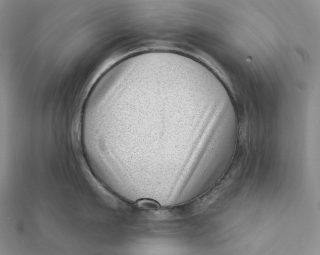 X0000112080911200908251102