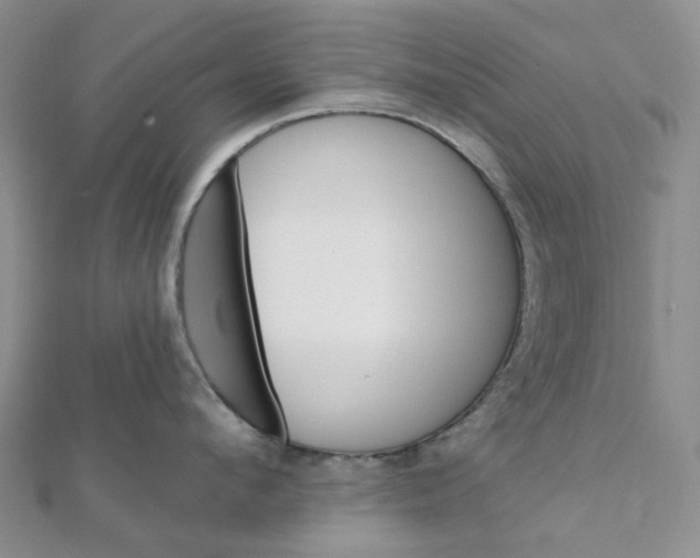 X0000112080912200908251102