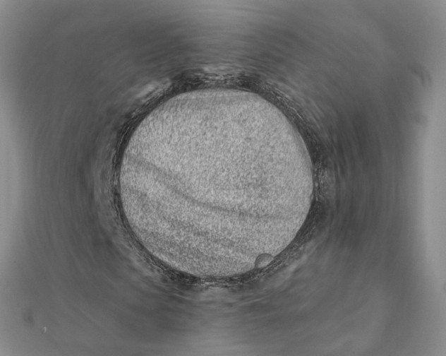 X0000112080913200908251101