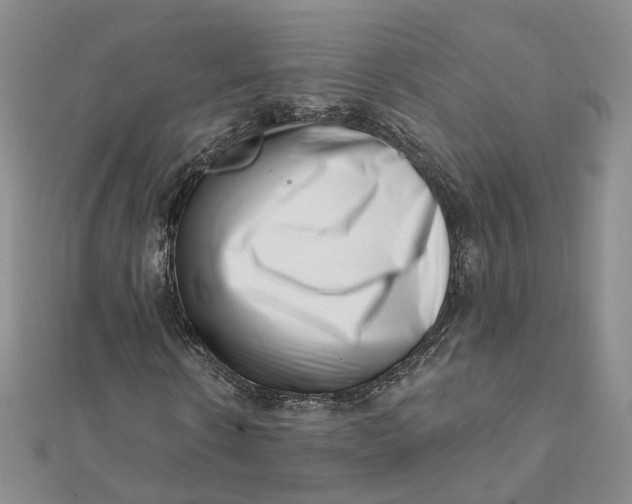 X0000112080914200908251101