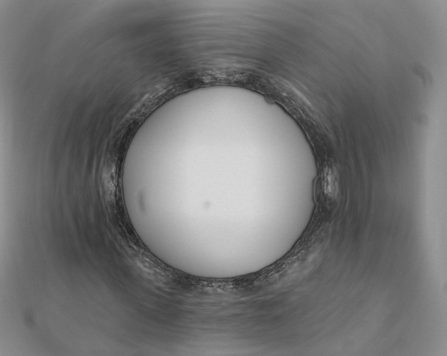 X0000112080915200908251101