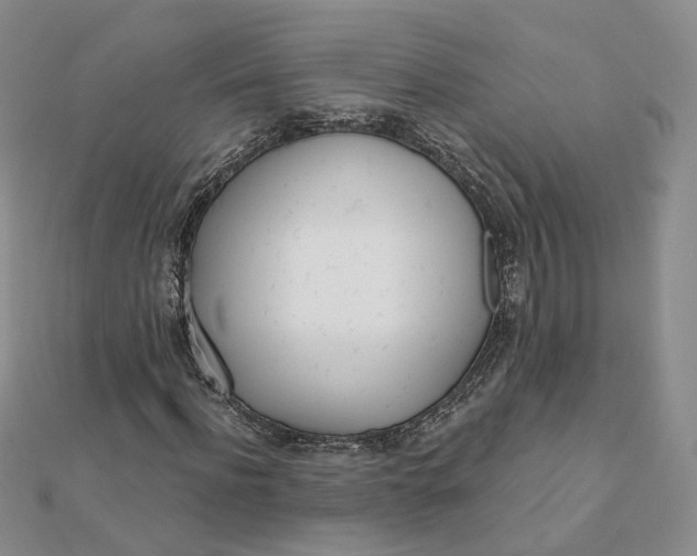 X0000112080916200908251101