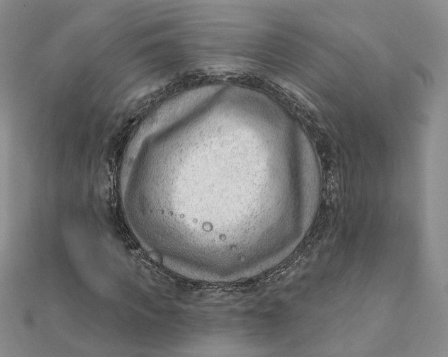 X0000112080917200908251101