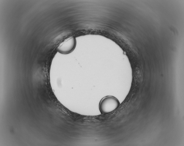 X0000112080918200908251101