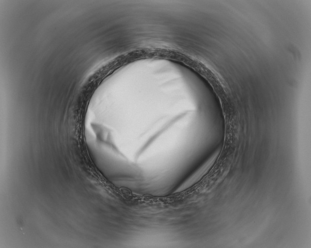 X0000112080919200908251101