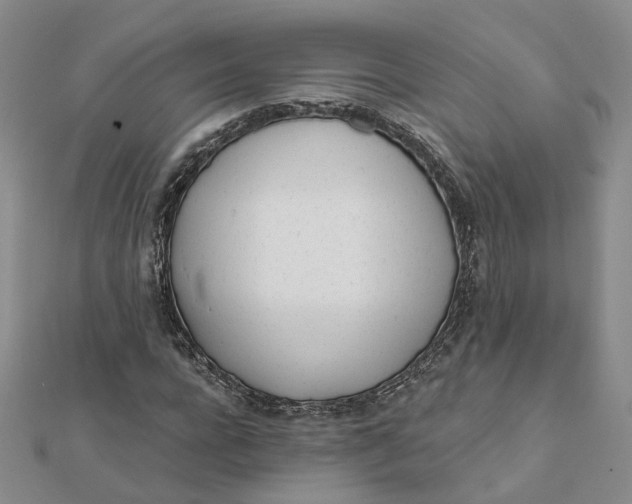 X0000112080920200908251101