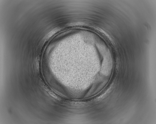 X0000112080921200908251101