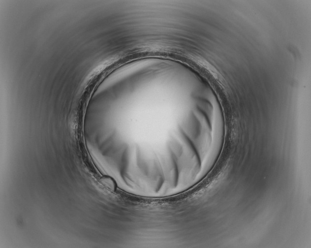 X0000112080922200908251101