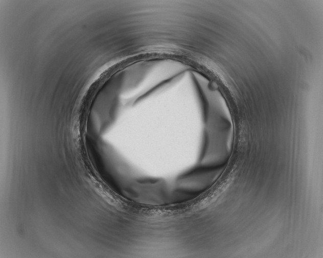 X0000112080923200908251101