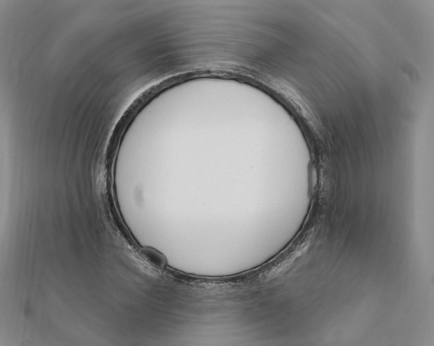 X0000112080924200908251101