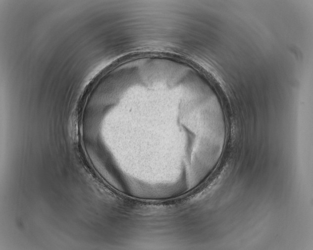 X0000112080925200908251101