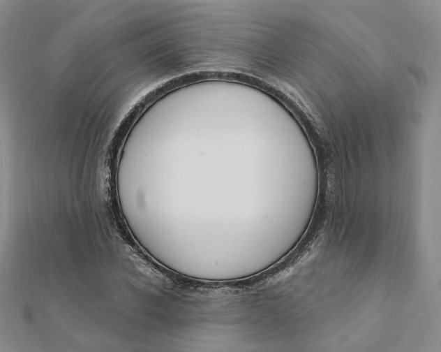 X0000112080926200908251101