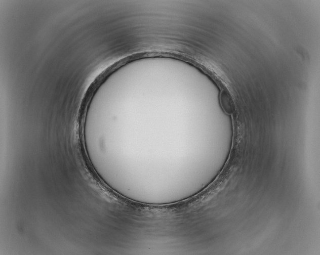 X0000112080928200908251101