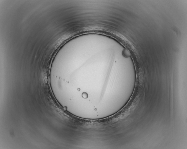 X0000112080929200908251101