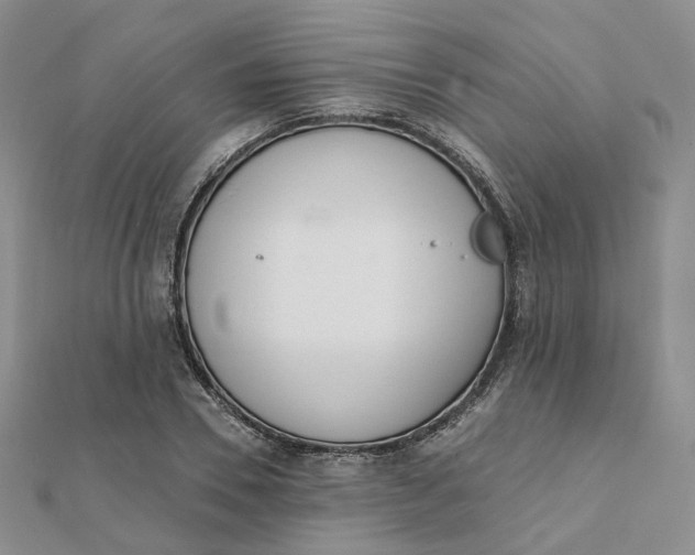 X0000112080930200908251101