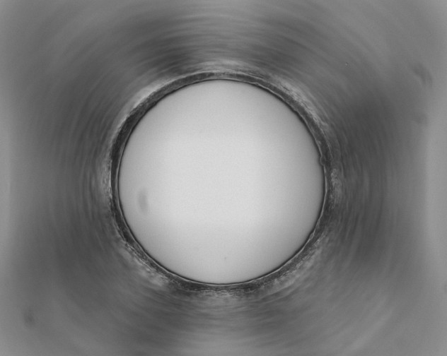 X0000112080931200908251101