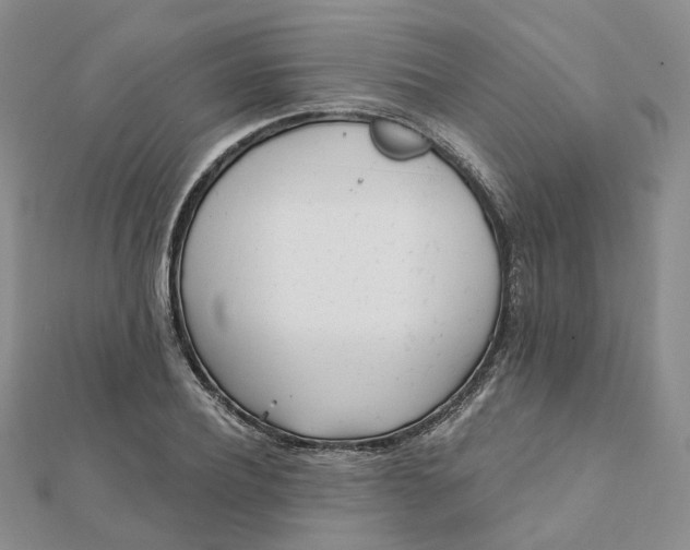 X0000112080932200908251101