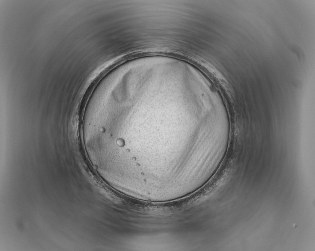 X0000112080933200908251101