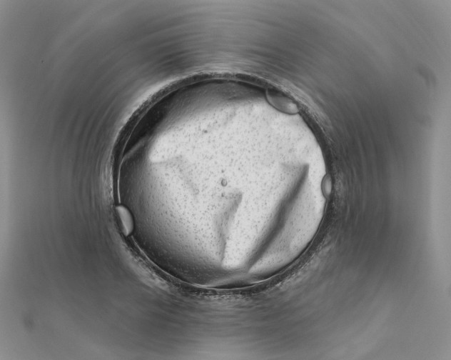 X0000112080934200908251101