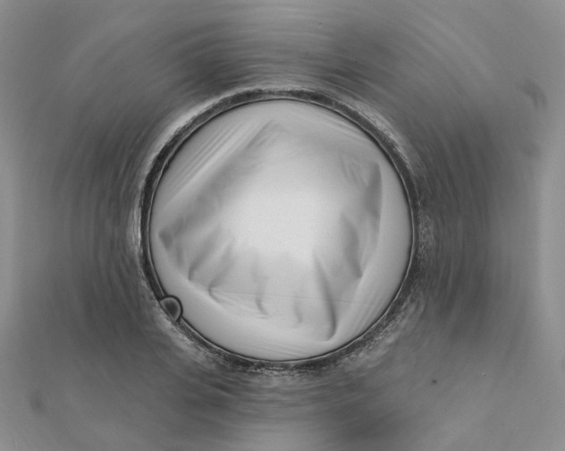 X0000112080935200908251101