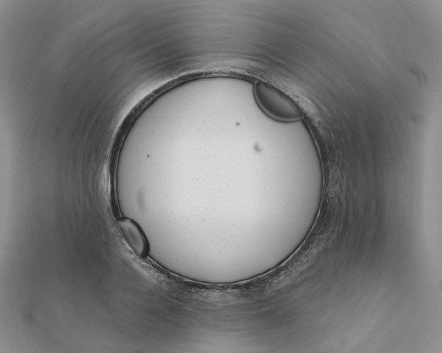 X0000112080936200908251101