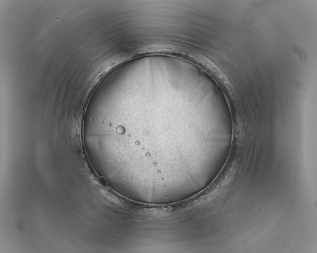 X0000112080937200908251101