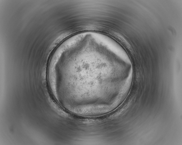 X0000112080938200908251101