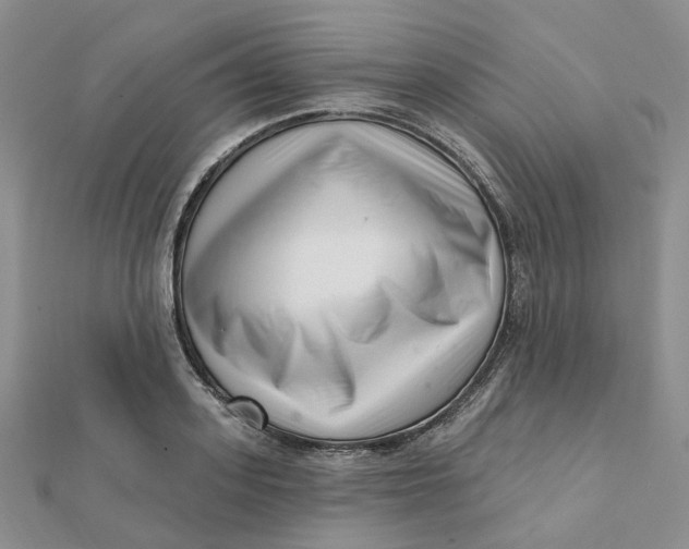 X0000112080939200908251101