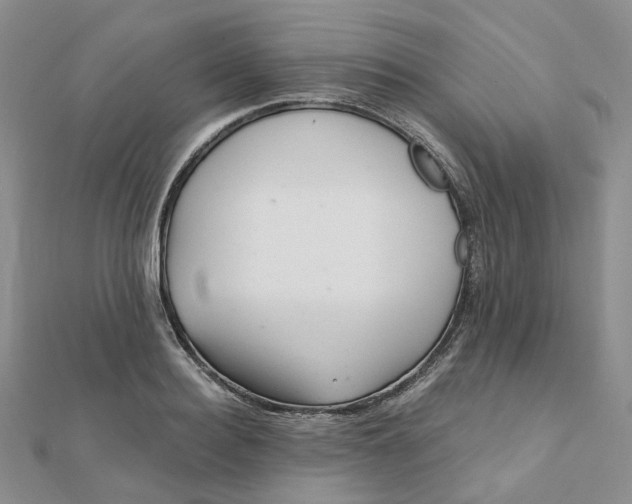 X0000112080940200908251101