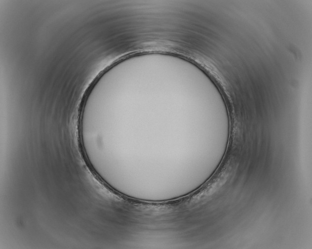 X0000112080941200908251101