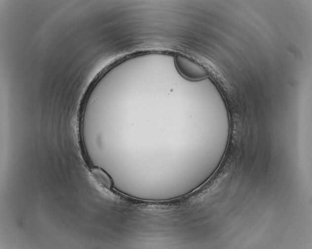 X0000112080942200908251101