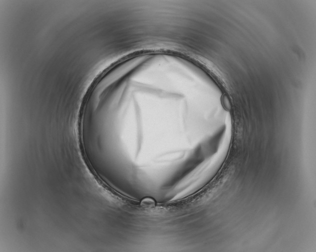 X0000112080943200908251101