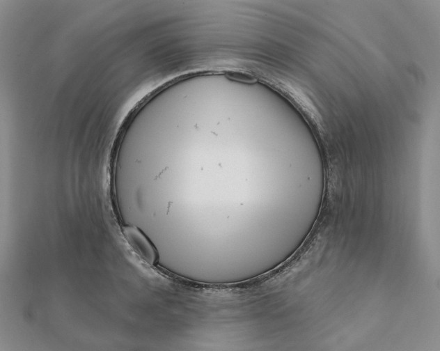 X0000112080944200908251101