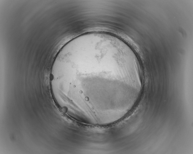 X0000112080945200908251101