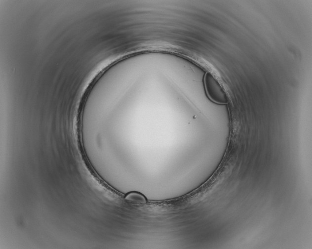 X0000112080947200908251101