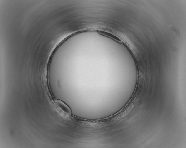 X0000112080948200908251101