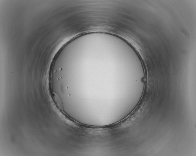 X0000112080949200908251101